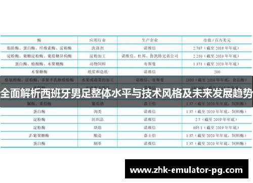 全面解析西班牙男足整体水平与技术风格及未来发展趋势