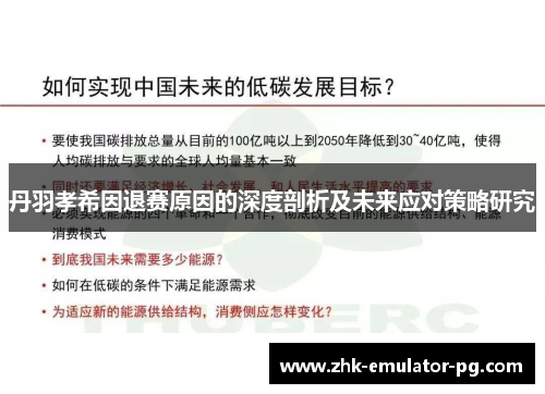 丹羽孝希因退赛原因的深度剖析及未来应对策略研究