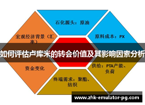 如何评估卢库米的转会价值及其影响因素分析