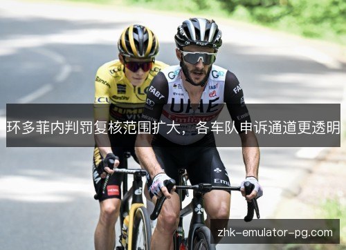 环多菲内判罚复核范围扩大，各车队申诉通道更透明